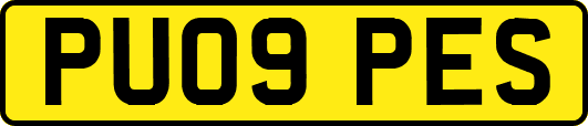 PU09PES