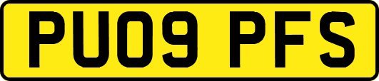PU09PFS