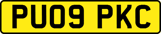 PU09PKC