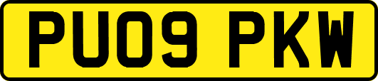 PU09PKW