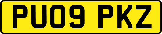 PU09PKZ