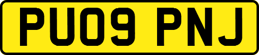 PU09PNJ