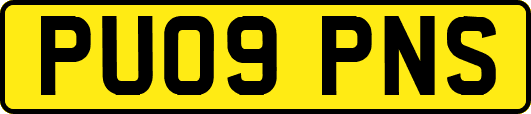 PU09PNS