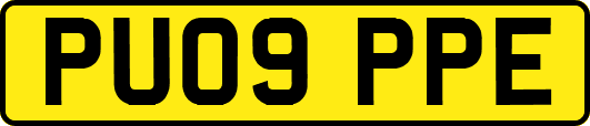 PU09PPE