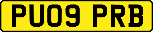 PU09PRB