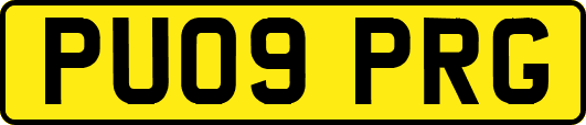 PU09PRG