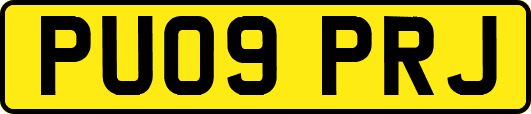 PU09PRJ
