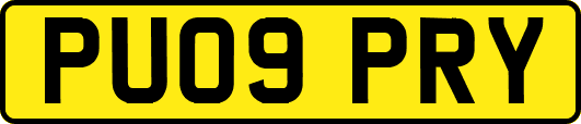 PU09PRY
