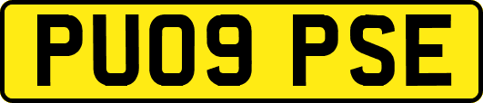 PU09PSE
