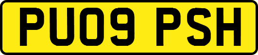 PU09PSH