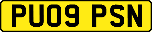 PU09PSN