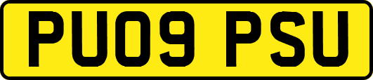 PU09PSU