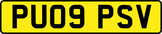 PU09PSV