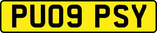 PU09PSY