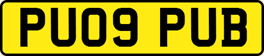 PU09PUB