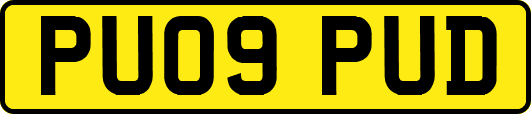 PU09PUD