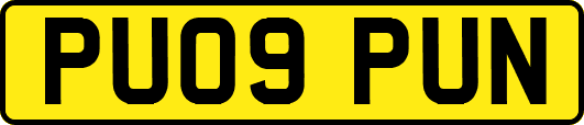 PU09PUN