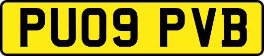 PU09PVB