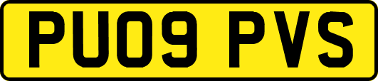 PU09PVS