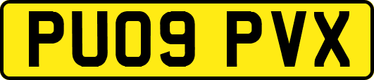 PU09PVX
