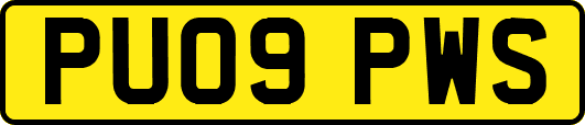 PU09PWS