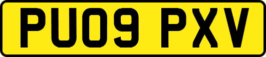 PU09PXV