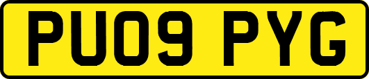 PU09PYG