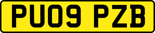 PU09PZB