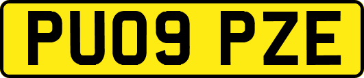 PU09PZE