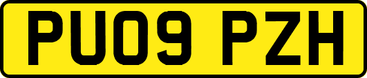PU09PZH