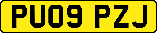 PU09PZJ