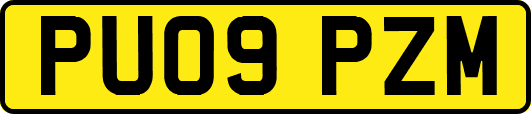 PU09PZM