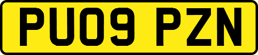 PU09PZN