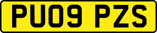 PU09PZS