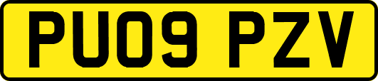 PU09PZV