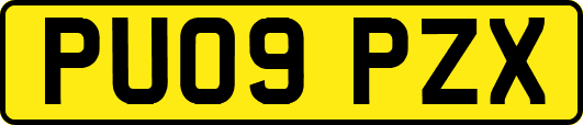 PU09PZX