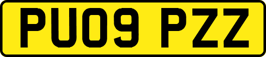 PU09PZZ
