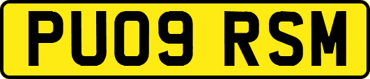 PU09RSM