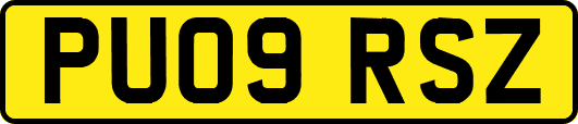 PU09RSZ