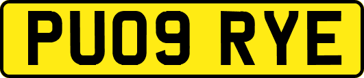 PU09RYE