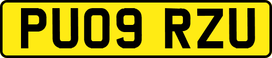 PU09RZU