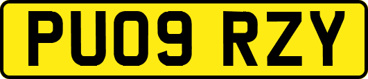 PU09RZY