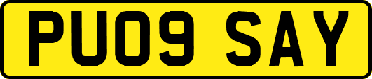 PU09SAY