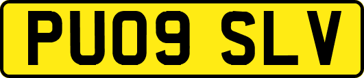 PU09SLV