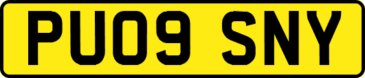 PU09SNY