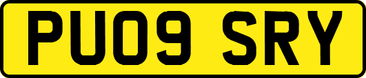 PU09SRY