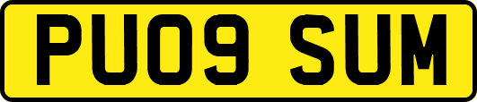 PU09SUM