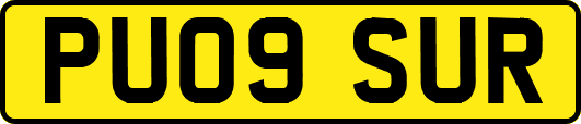 PU09SUR