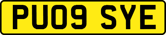 PU09SYE