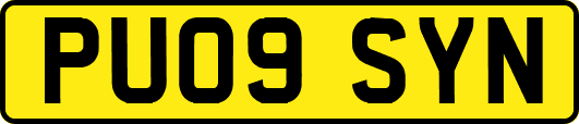 PU09SYN